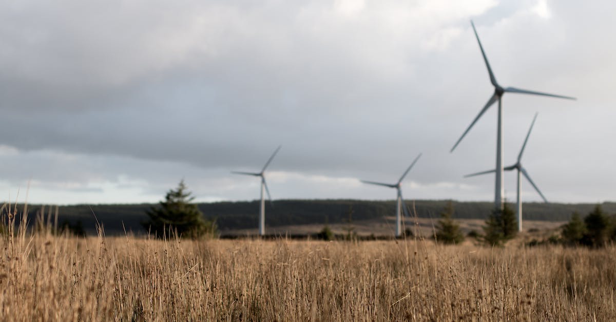  Zalety i wady elektrowni wiatrowych - energia odnawialna czy zagrożenie dla środowiska?